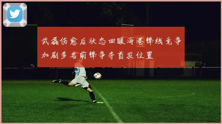 武磊伤愈后状态回暖海港锋线竞争加剧多名前锋争夺首发位置